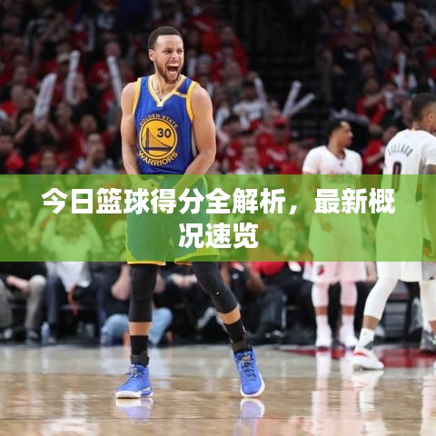 今日篮球得分全解析,最新概况速览