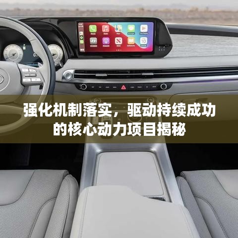 强化机制落实，驱动持续成功的核心动力项目揭秘
