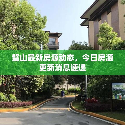 璧山最新房源动态,今日房源更新消息速递