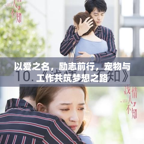 以爱之名,励志前行,宠物与工作共筑梦想之路