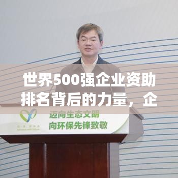 世界500强企业资助排名背后的力量，企业力量与社会责任的完美交融