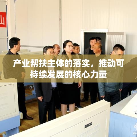 产业帮扶主体的落实,推动可持续发展的核心力量