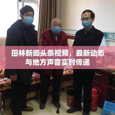 田林新闻头条视频，最新动态与地方声音实时传递