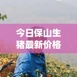 今日保山生猪最新价格及全国市场走势,影响因素揭秘