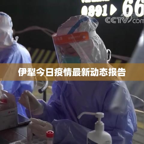 伊犁今日疫情最新动态报告
