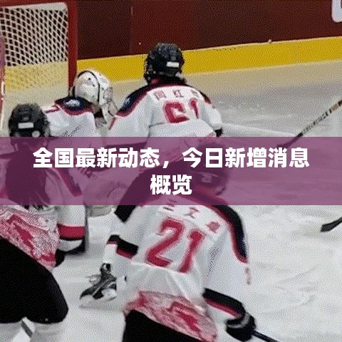 全国最新动态，今日新增消息概览