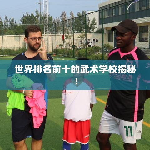 世界排名前十的武术学校揭秘!