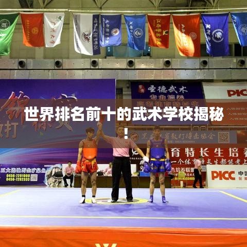 世界排名前十的武术学校揭秘!