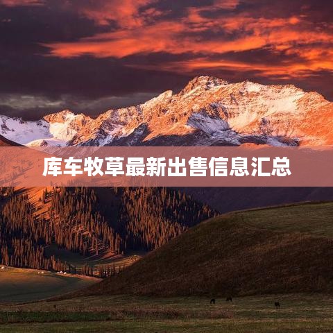 库车牧草最新出售信息汇总