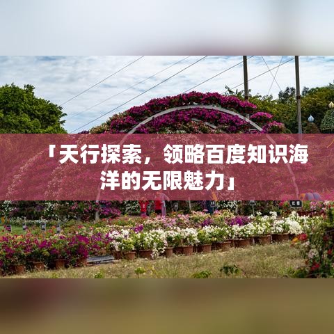 「天行探索,领略百度知识海洋的无限魅力」