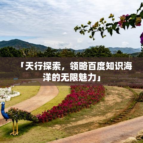 「天行探索,领略百度知识海洋的无限魅力」