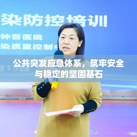 公共突发应急体系，筑牢安全与稳定的坚固基石