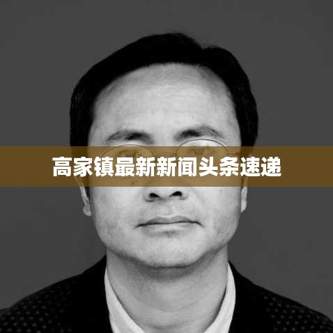 高家镇最新新闻头条速递