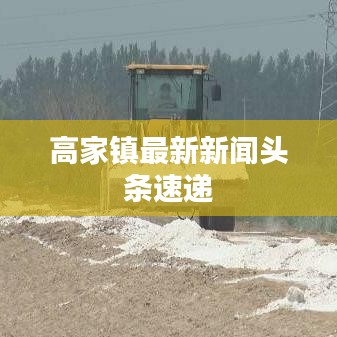 高家镇最新新闻头条速递