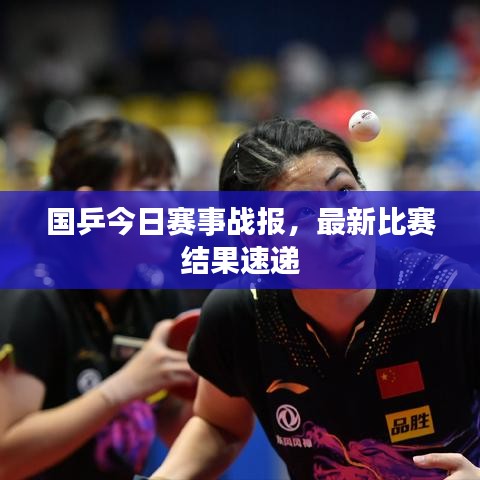 国乒今日赛事战报,最新比赛结果速递