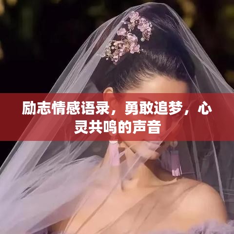 励志情感语录，勇敢追梦，心灵共鸣的声音