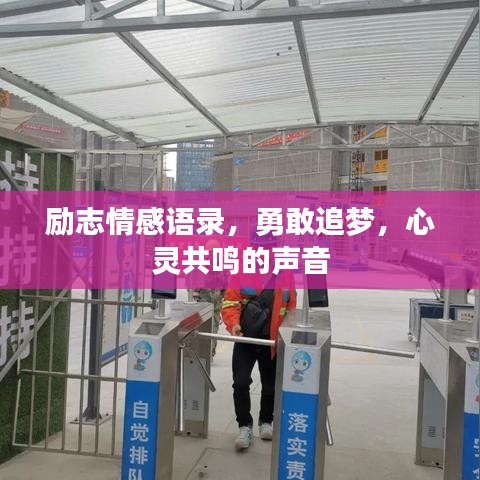 励志情感语录,勇敢追梦,心灵共鸣的声音