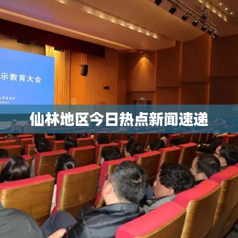 仙林地区今日热点新闻速递