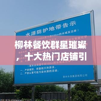 柳林餐饮群星璀璨,十大热门店铺引领美食风尚