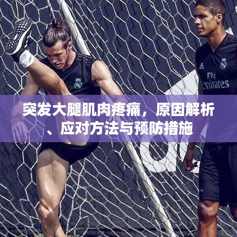 突发大腿肌肉疼痛,原因解析、应对方法与预防措施