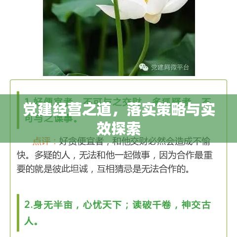 党建经营之道,落实策略与实效探索