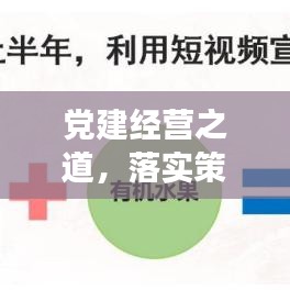 党建经营之道,落实策略与实效探索