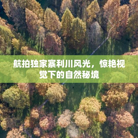 乐玩官方下载,现状说明解析_10DM_v6.444