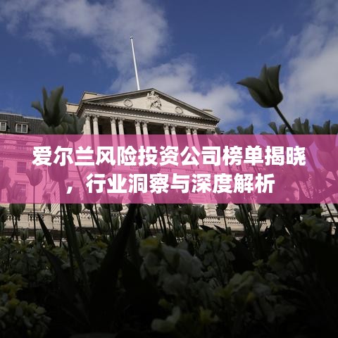 爱尔兰风险投资公司榜单揭晓,行业洞察与深度解析