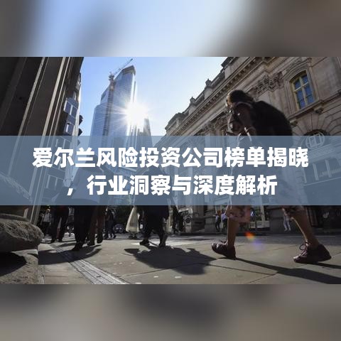 爱尔兰风险投资公司榜单揭晓,行业洞察与深度解析