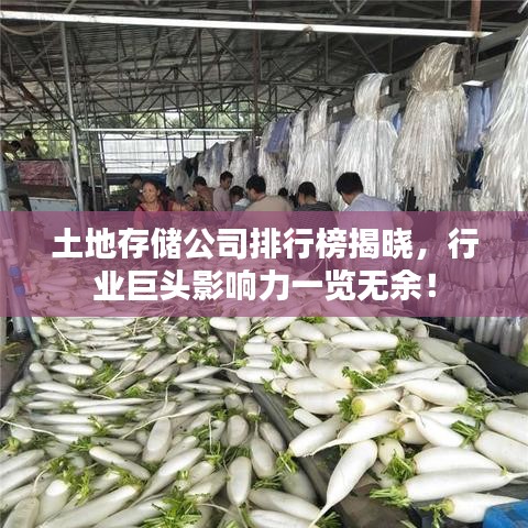 毛手毛脚 第6页