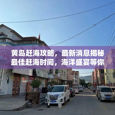 黄岛赶海攻略，最新消息揭秘最佳赶海时间，海洋盛宴等你来享！