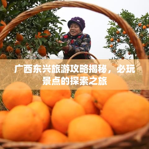 广西东兴旅游攻略揭秘，必玩景点的探索之旅