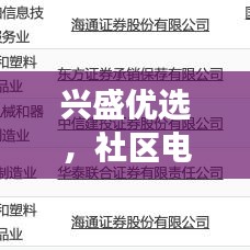 兴盛优选,社区电商新领军,重塑零售未来,引领行业新潮流