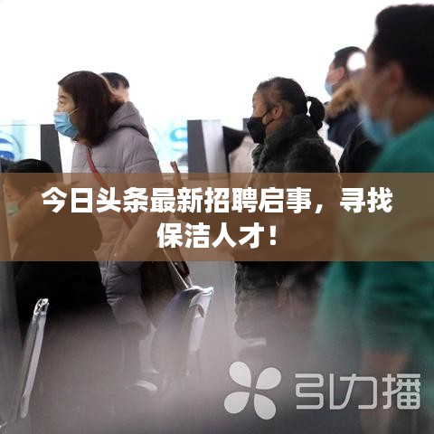 今日头条最新招聘启事，寻找保洁人才！