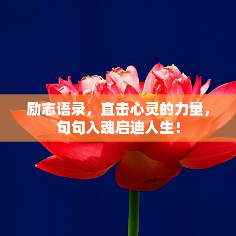 励志语录,直击心灵的力量,句句入魂启迪人生!