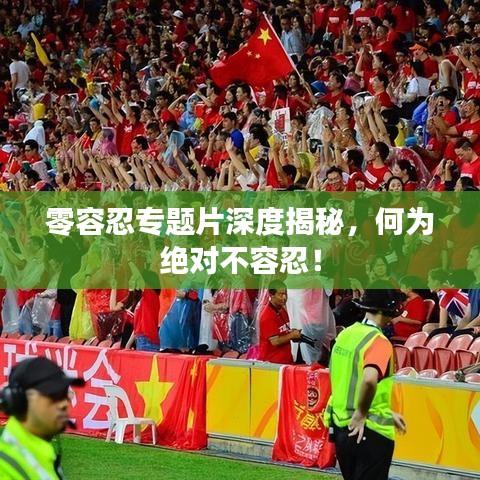 零容忍专题片深度揭秘,何为绝对不容忍!