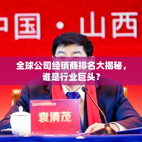 全球公司经销商排名大揭秘,谁是行业巨头?