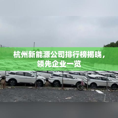 杭州新能源公司排行榜揭晓，领先企业一览
