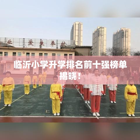 临沂小学升学排名前十强榜单揭晓!