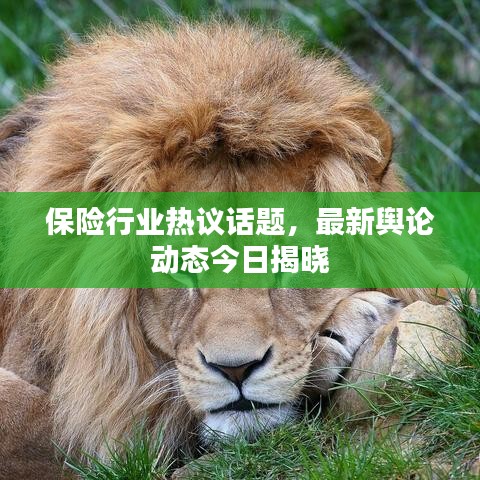 保险行业热议话题，最新舆论动态今日揭晓