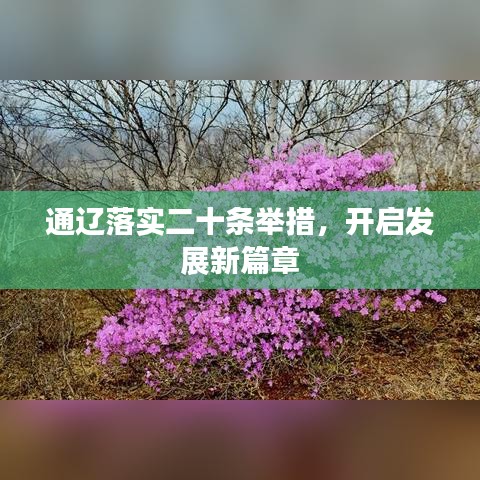 通辽落实二十条举措，开启发展新篇章
