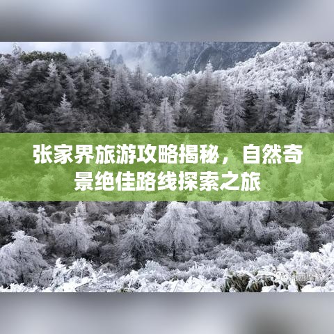 张家界旅游攻略揭秘，自然奇景绝佳路线探索之旅