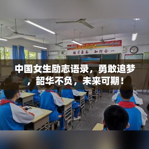 猫咪社区官方下载 下载,实地数据评估策略_开发版1_v6.580