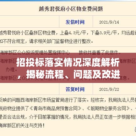 招投标落实情况深度解析,揭秘流程、问题及改进措施