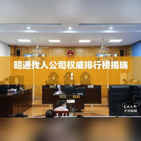 昭通找人公司权威排行榜揭晓!