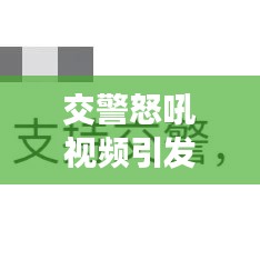 交警怒吼视频引发深度思考，背后的故事与挑战