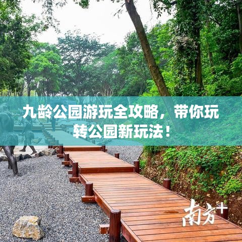 九龄公园游玩全攻略，带你玩转公园新玩法！