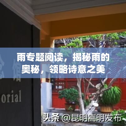 雨专题阅读,揭秘雨的奥秘,领略诗意之美