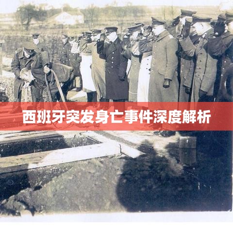 西班牙突发身亡事件深度解析