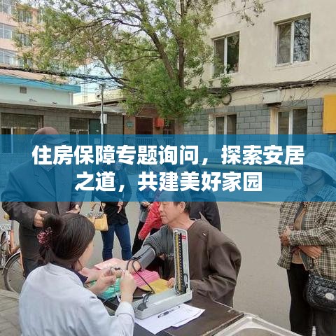住房保障专题询问,探索安居之道,共建美好家园